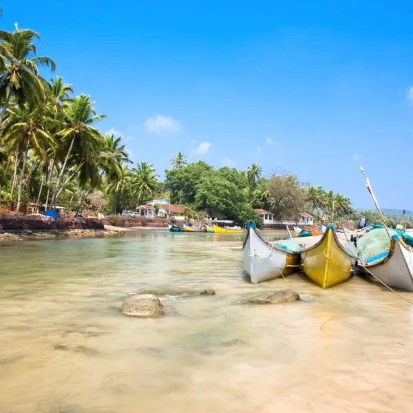 Grand Goa Experience with palm-lined shoreline, colorful fishing boats, clear water and scenic tropical coastal beauty