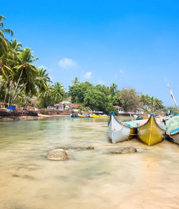 Grand Goa Experience with palm-lined shoreline, colorful fishing boats, clear water and scenic tropical coastal beauty