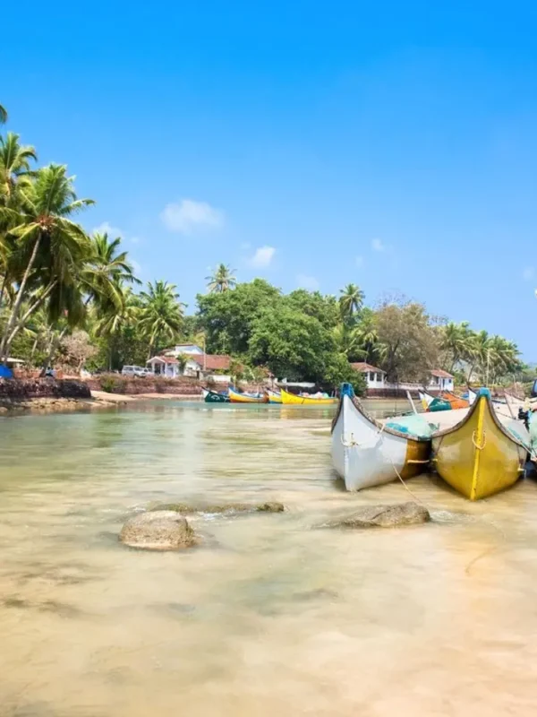 Grand Goa Experience with palm-lined shoreline, colorful fishing boats, clear water and scenic tropical coastal beauty