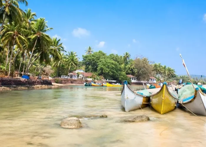 Grand Goa Experience with palm-lined shoreline, colorful fishing boats, clear water and scenic tropical coastal beauty