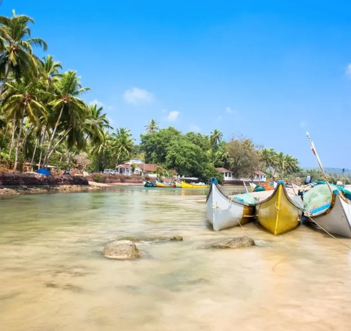 Grand Goa Experience with palm-lined shoreline, colorful fishing boats, clear water and scenic tropical coastal beauty