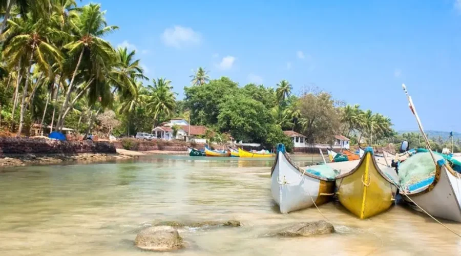 Grand Goa Experience with palm-lined shoreline, colorful fishing boats, clear water and scenic tropical coastal beauty