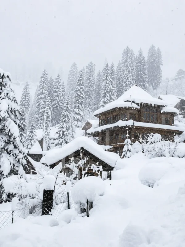 Snow-covered Manali hillside with pine trees and traditional wooden cottages in Himachal Pradesh