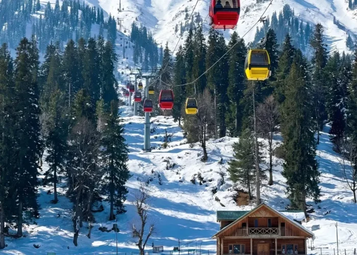 Kashmir Highlights Package with Gulmarg gondola, snow mountains, pine forest and winter adventure activities