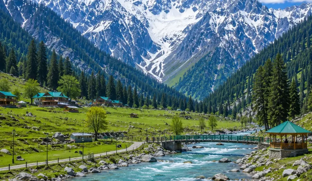 Sonmarg Kashmir with golden meadows, snow-capped Himalayan peaks, pine forests and clear morning mountain light.