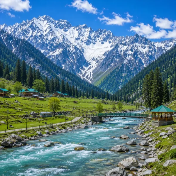 Sonmarg Kashmir with golden meadows, snow-capped Himalayan peaks, pine forests and clear morning mountain light.