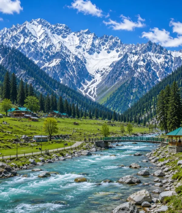 Sonmarg Kashmir with golden meadows, snow-capped Himalayan peaks, pine forests and clear morning mountain light.