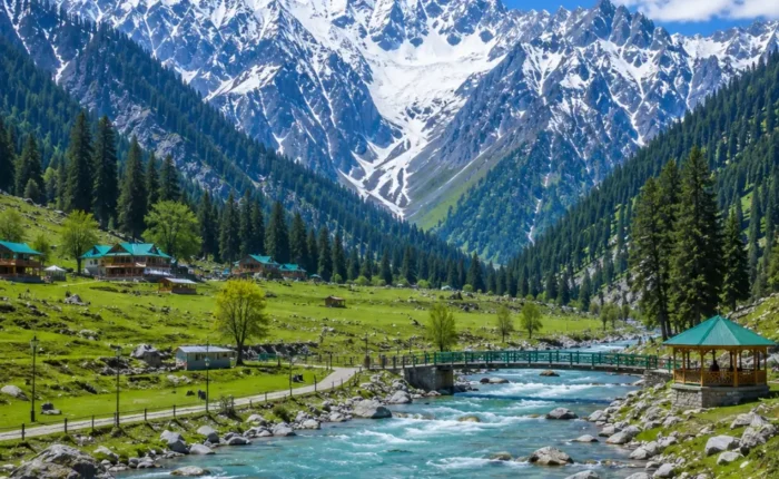 Sonmarg Kashmir with golden meadows, snow-capped Himalayan peaks, pine forests and clear morning mountain light.
