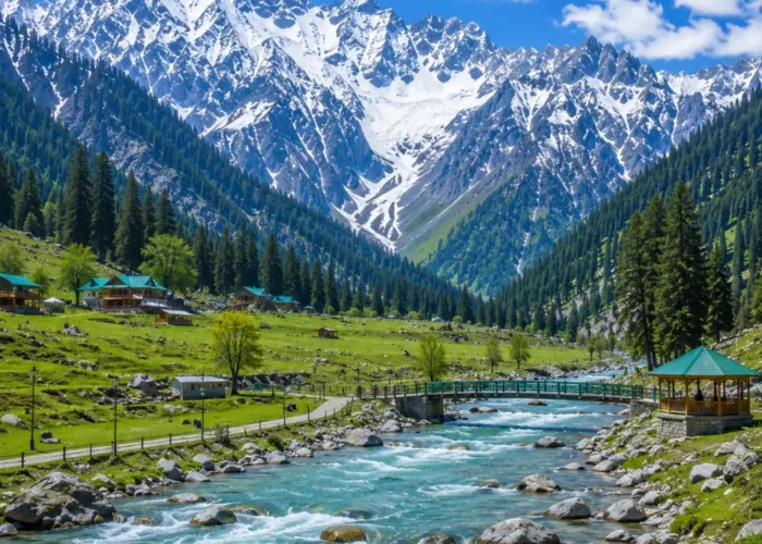 Sonmarg Kashmir with golden meadows, snow-capped Himalayan peaks, pine forests and clear morning mountain light.
