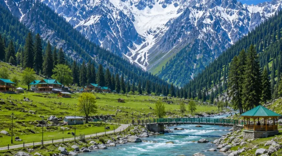 Sonmarg Kashmir with golden meadows, snow-capped Himalayan peaks, pine forests and clear morning mountain light.