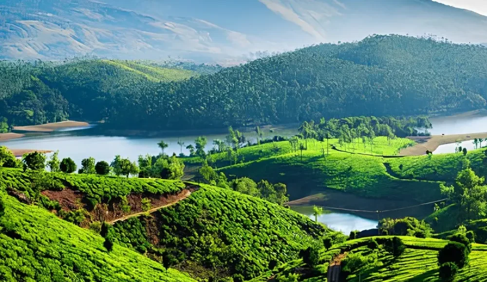Kerala Highlights Package with lush tea gardens, green hills, lake views and scenic South India nature landscape