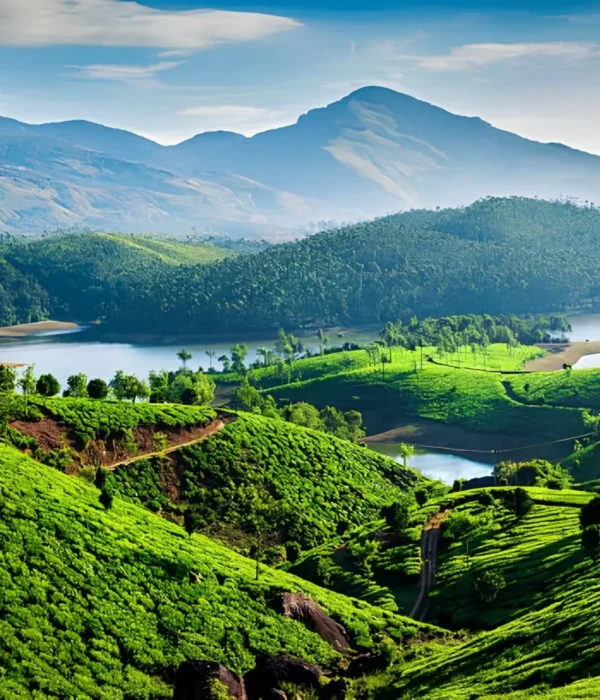 Kerala Highlights Package with lush tea gardens, green hills, lake views and scenic South India nature landscape