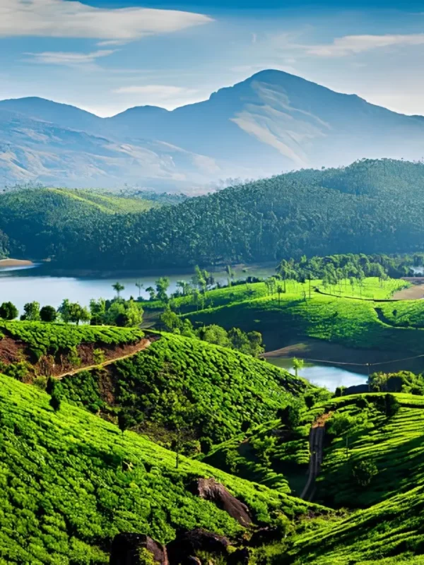 Kerala Highlights Package with lush tea gardens, green hills, lake views and scenic South India nature landscape
