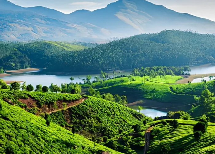 Kerala Highlights Package with lush tea gardens, green hills, lake views and scenic South India nature landscape