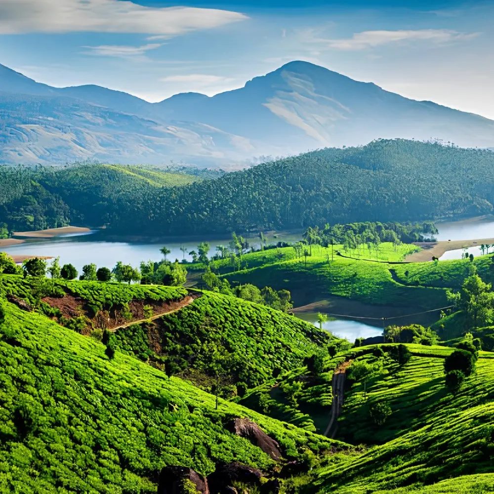 Kerala Highlights Package with lush tea gardens, green hills, lake views and scenic South India nature landscape