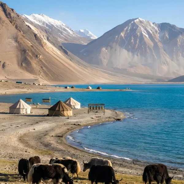 Leh Nubra Pangong package with Pangong Lake, mountain campsite, yaks and scenic Ladakh landscape