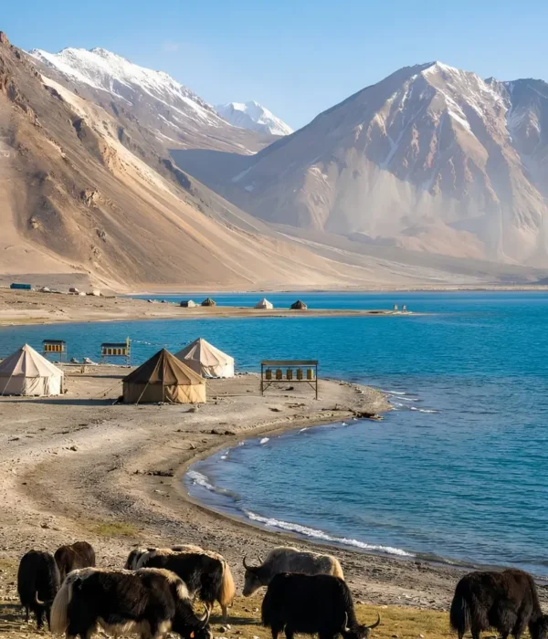 Leh Nubra Pangong package with Pangong Lake, mountain campsite, yaks and scenic Ladakh landscape
