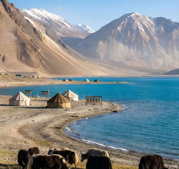Leh Nubra Pangong package with Pangong Lake, mountain campsite, yaks and scenic Ladakh landscape