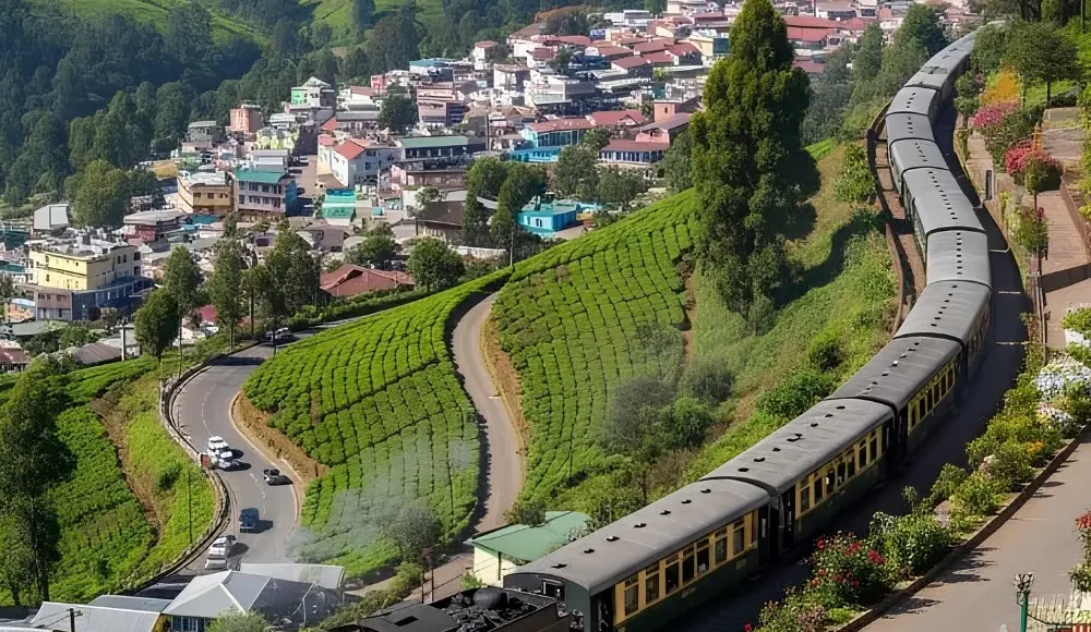 Mysore Coorg Ooty tour with Nilgiri mountain train, tea gardens, green hills and scenic South India landscape