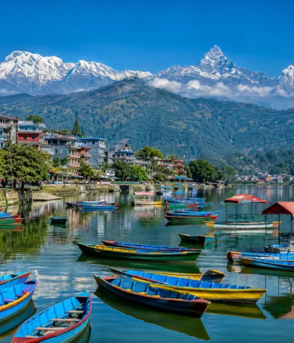 Bright daytime view of Pokhara with Phewa Lake, colorful boats, lakeside town, green hills, and snow-capped mountains.
