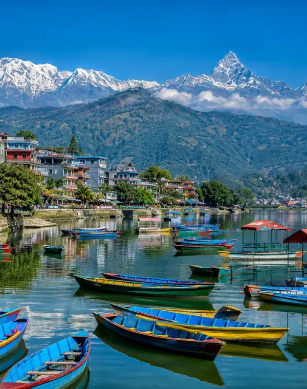 Bright daytime view of Pokhara with Phewa Lake, colorful boats, lakeside town, green hills, and snow-capped mountains.