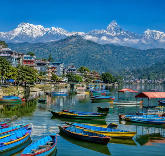 Bright daytime view of Pokhara with Phewa Lake, colorful boats, lakeside town, green hills, and snow-capped mountains.