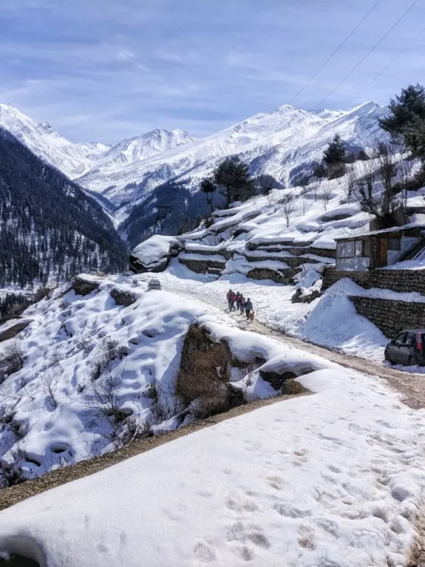 Shimla Manali package with snow covered mountains, scenic road, pine forest and beautiful Himachal winter landscape