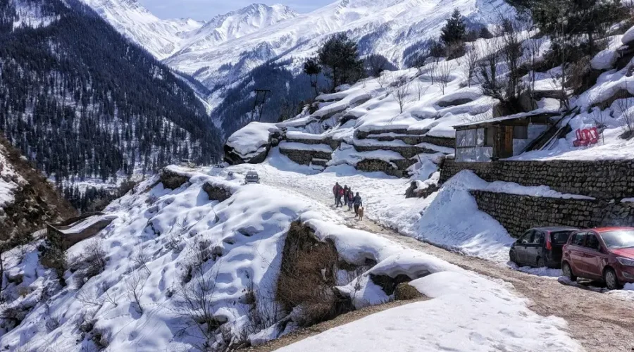 Shimla Manali package with snow covered mountains, scenic road, pine forest and beautiful Himachal winter landscape
