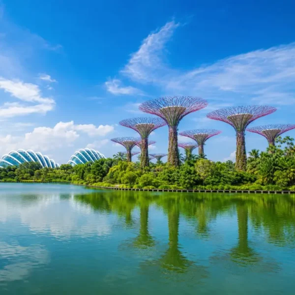 Gardens by the Bay Singapore with Supertree Grove, Flower Dome and lakeside reflection in bright daylight