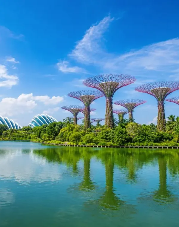 Gardens by the Bay Singapore with Supertree Grove, Flower Dome and lakeside reflection in bright daylight