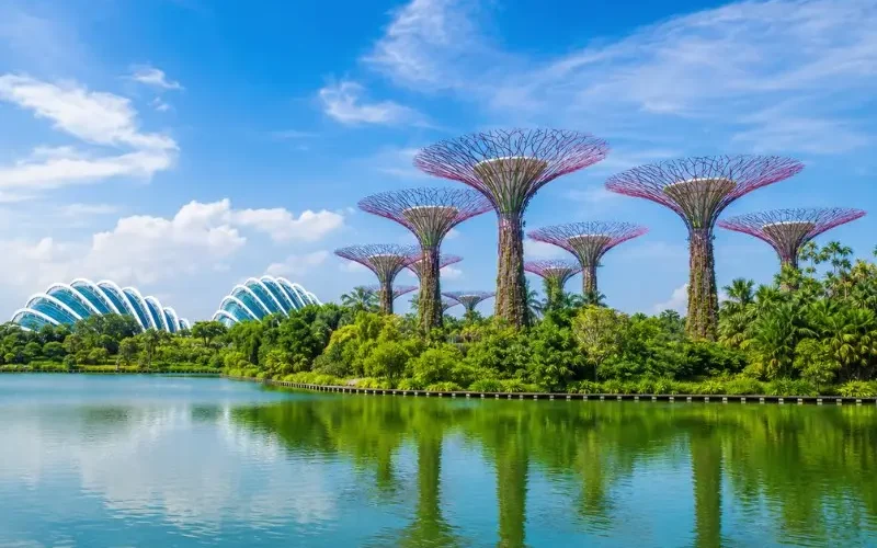 Gardens by the Bay Singapore with Supertree Grove, Flower Dome and lakeside reflection in bright daylight