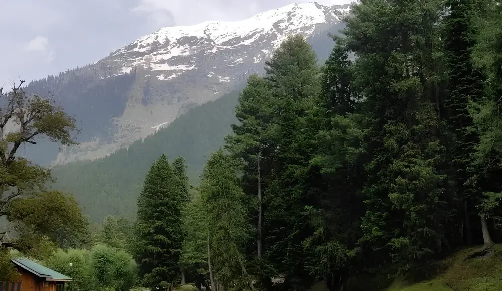 Srinagar Gulmarg Pahalgam package with river, pine forest, snow mountains and scenic Kashmir valley landscape