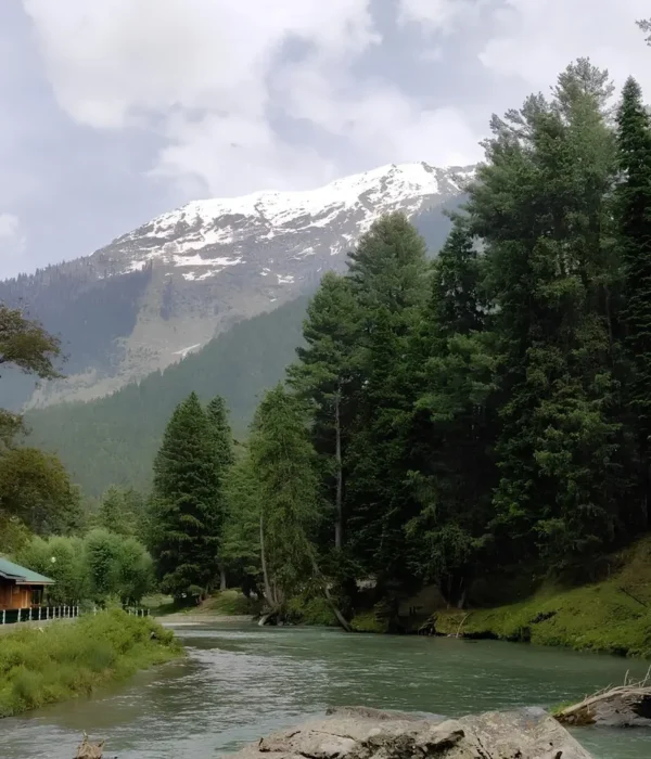 Srinagar Gulmarg Pahalgam package with river, pine forest, snow mountains and scenic Kashmir valley landscape