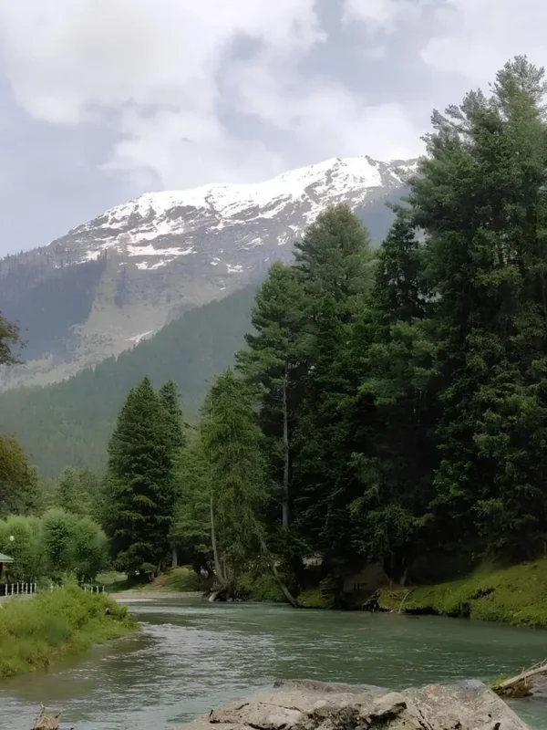 Srinagar Gulmarg Pahalgam package with river, pine forest, snow mountains and scenic Kashmir valley landscape