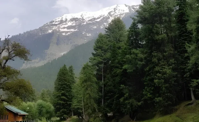 Srinagar Gulmarg Pahalgam package with river, pine forest, snow mountains and scenic Kashmir valley landscape