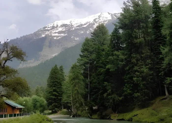 Srinagar Gulmarg Pahalgam package with river, pine forest, snow mountains and scenic Kashmir valley landscape