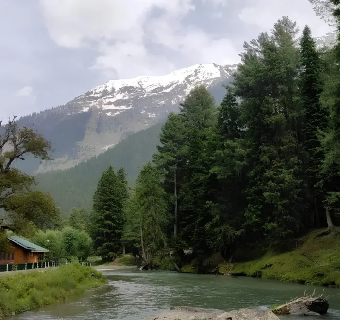 Srinagar Gulmarg Pahalgam package with river, pine forest, snow mountains and scenic Kashmir valley landscape