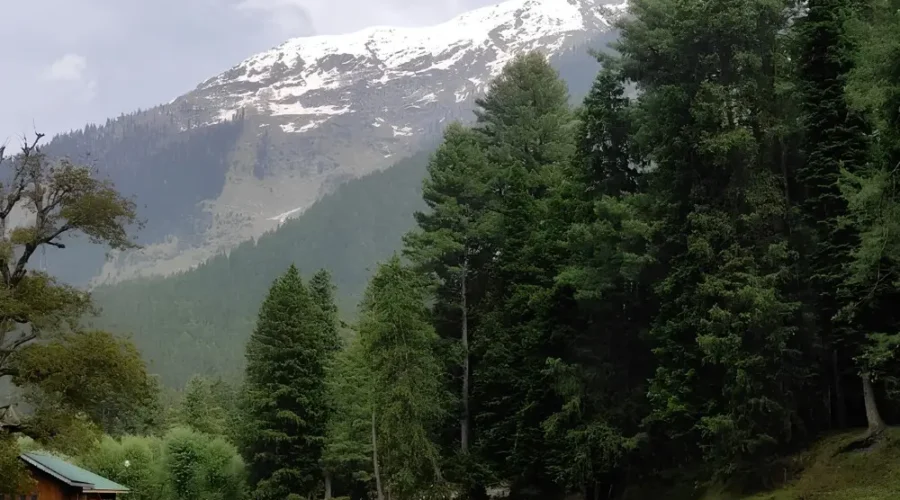 Srinagar Gulmarg Pahalgam package with river, pine forest, snow mountains and scenic Kashmir valley landscape