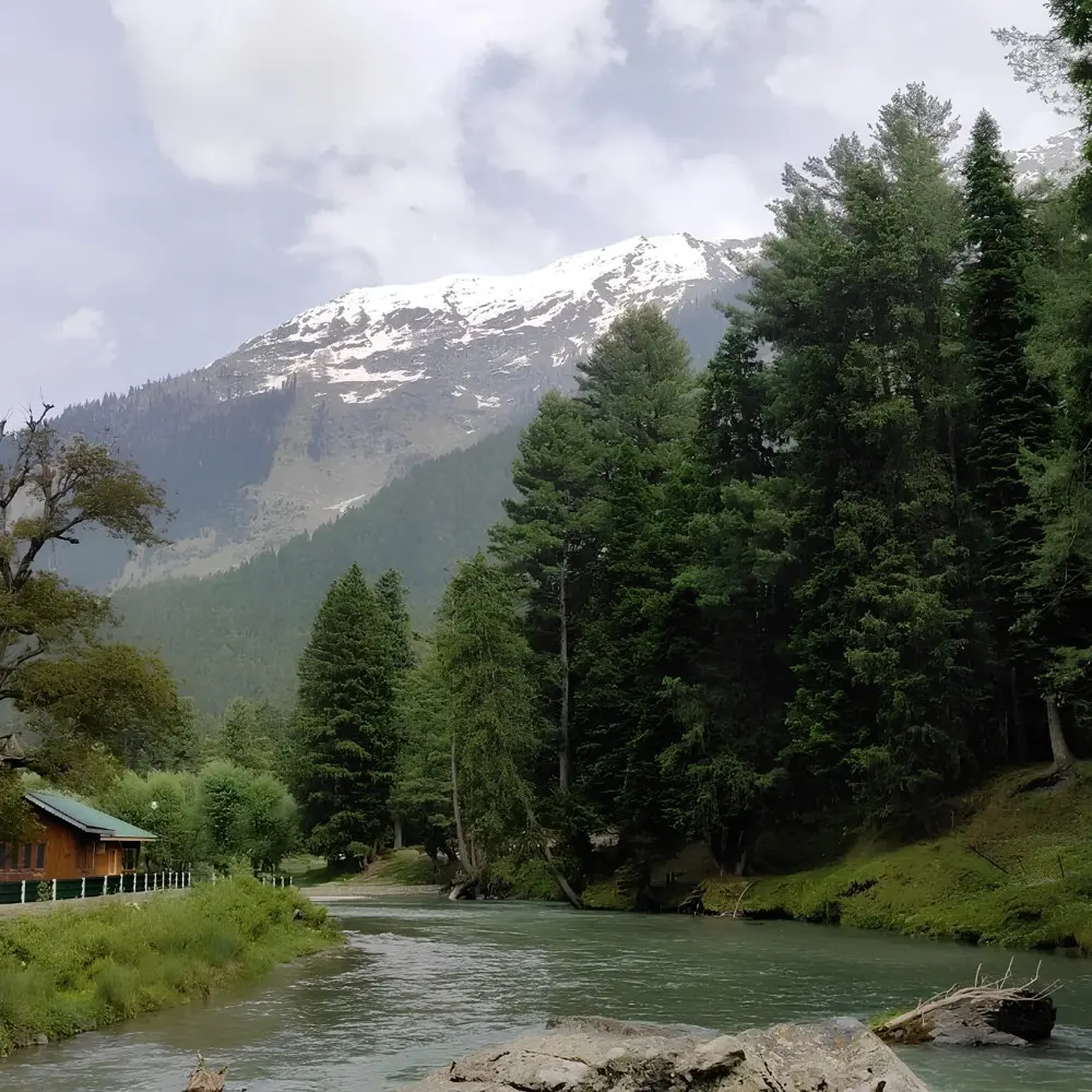Srinagar Gulmarg Pahalgam package with river, pine forest, snow mountains and scenic Kashmir valley landscape