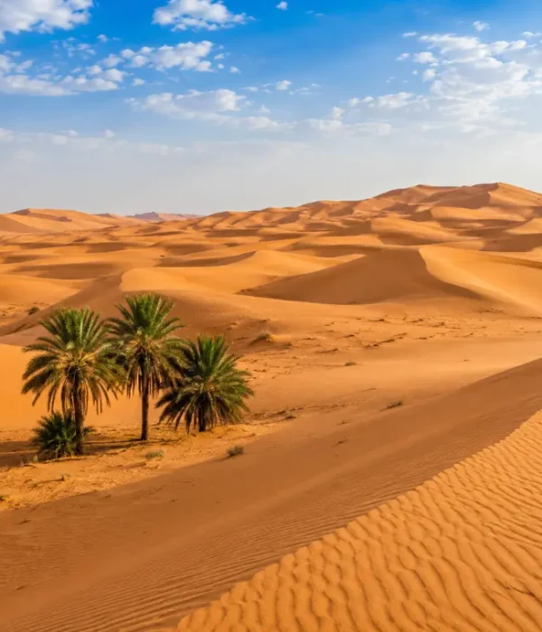 Realistic daytime view of Wahiba Sands with golden desert dunes, rippled sand textures, and a clear blue sky.