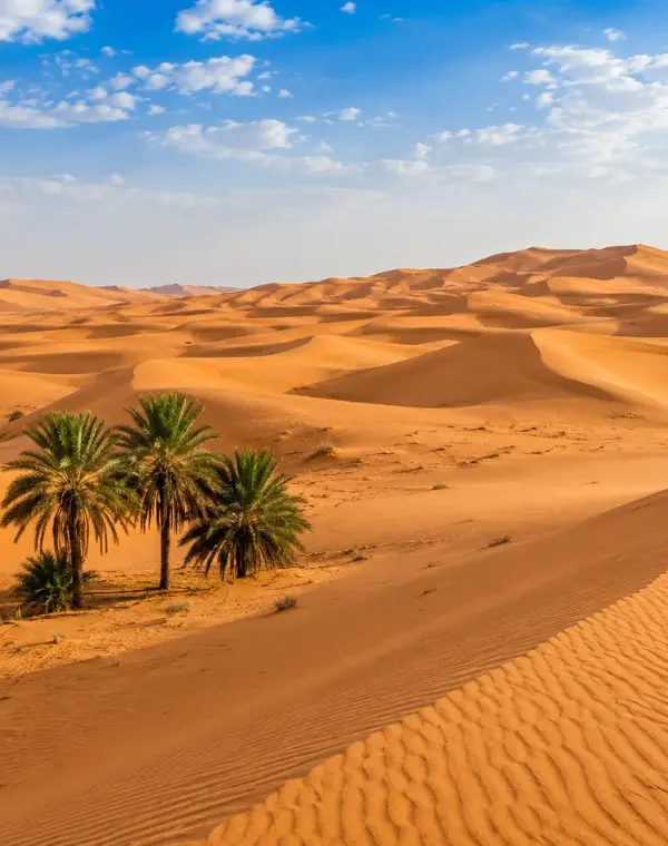 Realistic daytime view of Wahiba Sands with golden desert dunes, rippled sand textures, and a clear blue sky.