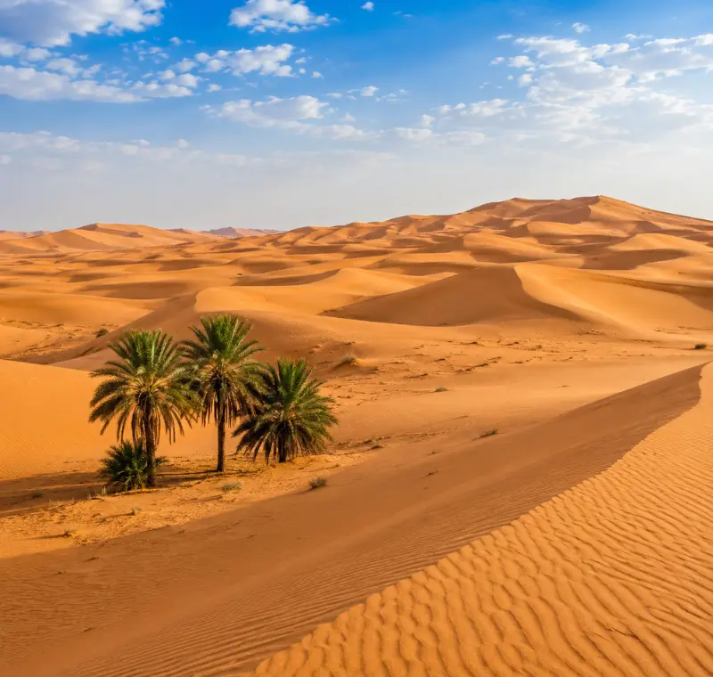 Realistic daytime view of Wahiba Sands with golden desert dunes, rippled sand textures, and a clear blue sky.
