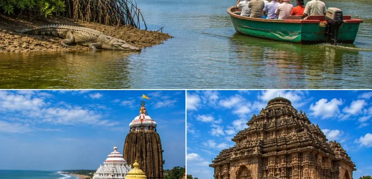 Bhitarkanika Puri Konark Tour Package featuring Bhitarkanika National Park, Jagannath Temple Puri, Konark Sun Temple, saltwater crocodiles and mangrove forests.