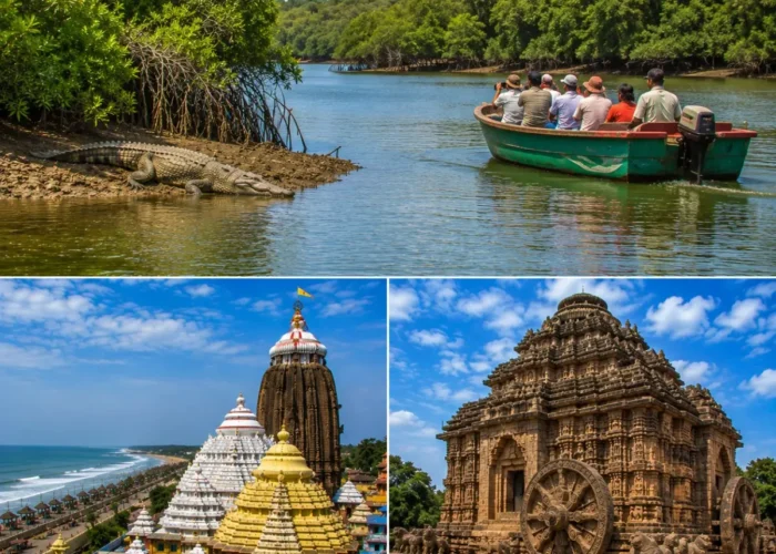 Bhitarkanika Puri Konark Tour Package featuring Bhitarkanika National Park, Jagannath Temple Puri, Konark Sun Temple, saltwater crocodiles and mangrove forests.