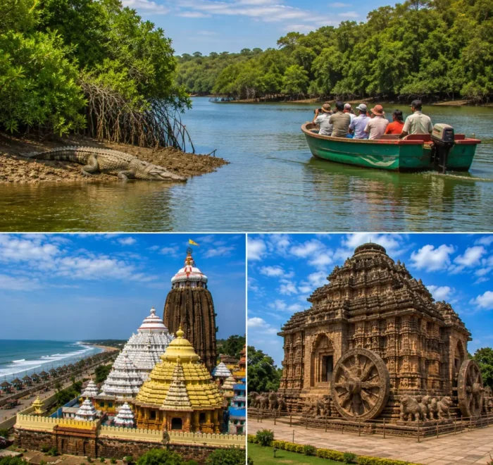 Bhitarkanika Puri Konark Tour Package featuring Bhitarkanika National Park, Jagannath Temple Puri, Konark Sun Temple, saltwater crocodiles and mangrove forests.