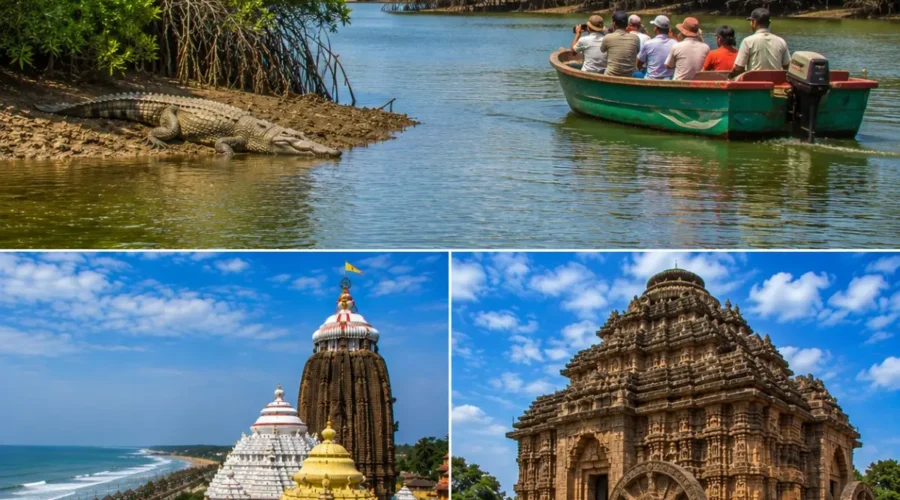 Bhitarkanika Puri Konark Tour Package featuring Bhitarkanika National Park, Jagannath Temple Puri, Konark Sun Temple, saltwater crocodiles and mangrove forests.