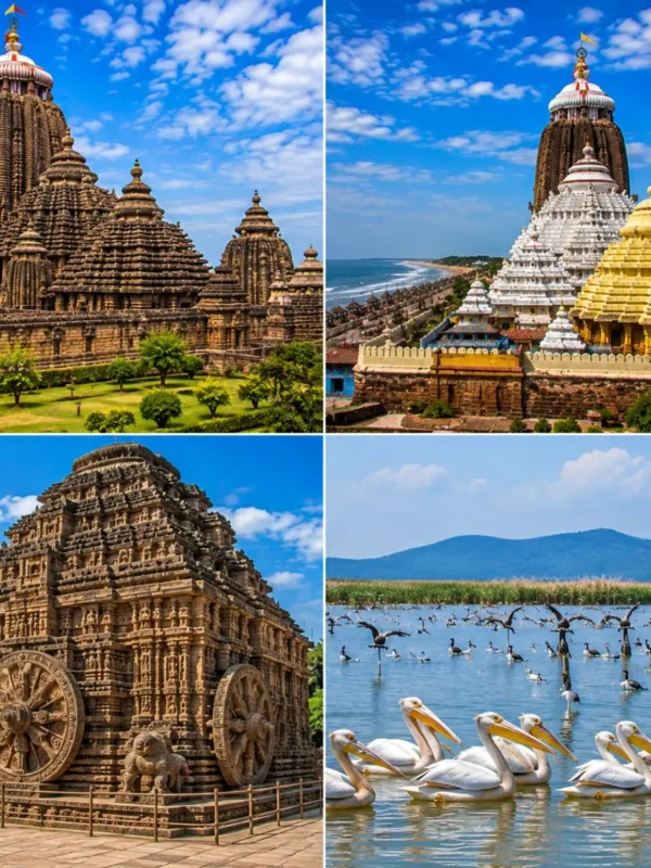 Bhubaneswar Puri Konark Chilika Tour Package featuring Lingaraj Temple, Jagannath Temple, Konark Sun Temple, Chilika Lake and Satapada Dolphins.