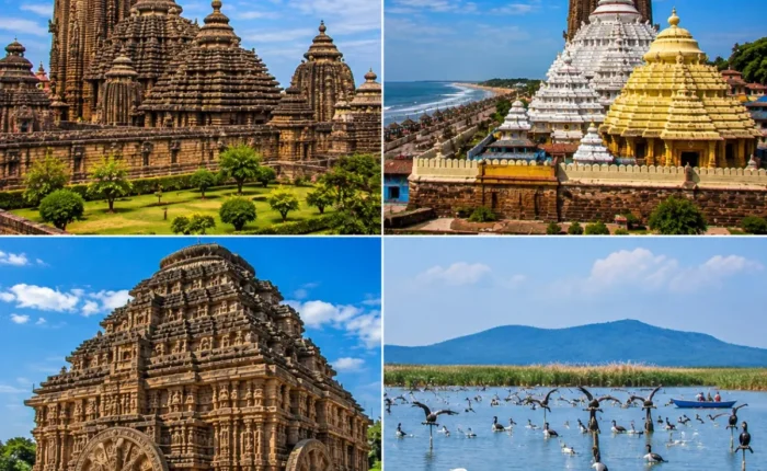 Bhubaneswar Puri Konark Chilika Tour Package featuring Lingaraj Temple, Jagannath Temple, Konark Sun Temple, Chilika Lake and Satapada Dolphins.
