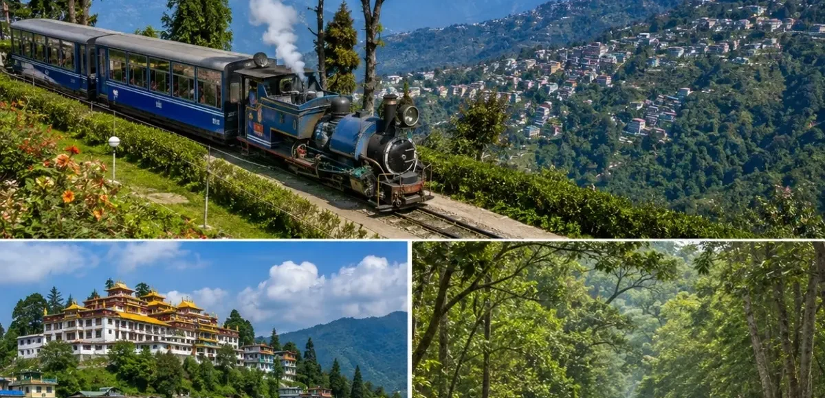 Darjeeling, Kalimpong & Dooars Tour Package featuring Tiger Hill, tea gardens, Kalimpong monasteries and Dooars wildlife safari