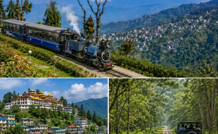 Darjeeling, Kalimpong & Dooars Tour Package featuring Tiger Hill, tea gardens, Kalimpong monasteries and Dooars wildlife safari